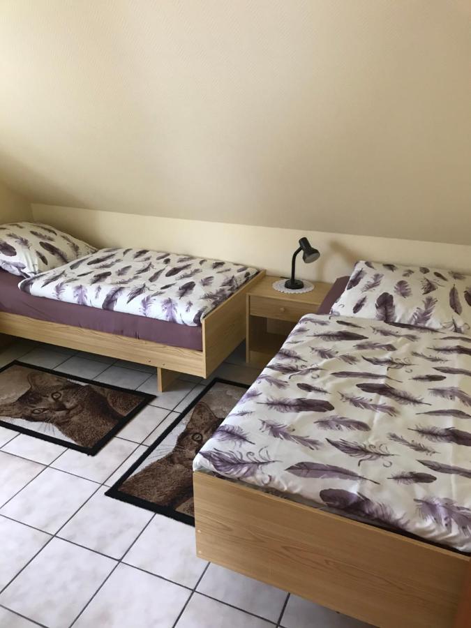 Ferienhaus Kleymann Sögel Esterno foto